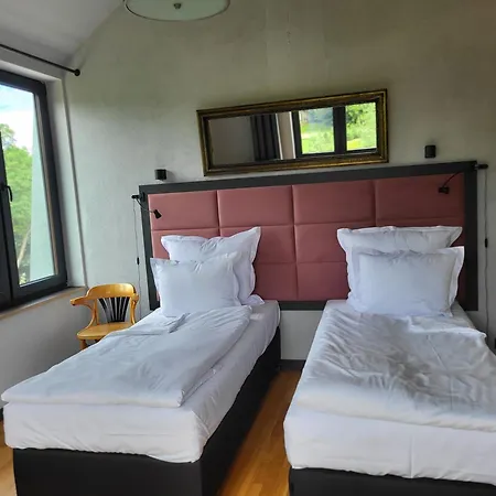 Palac I Loft Ojrzanow